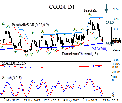 CORN
