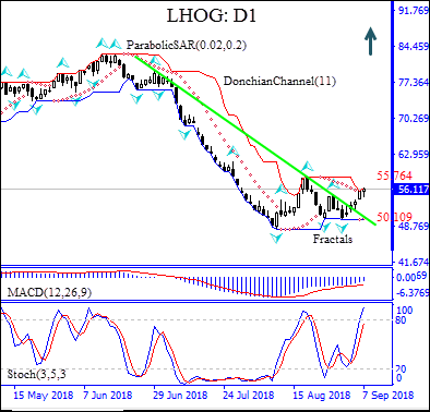 LHOG rises on lower Chinese pig supply Technical Analysis IFC Markets