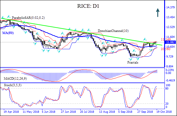 قیمت برنج به بالای خط مقاومت رسیده است تحلیل تکنیکی IFC Markets
