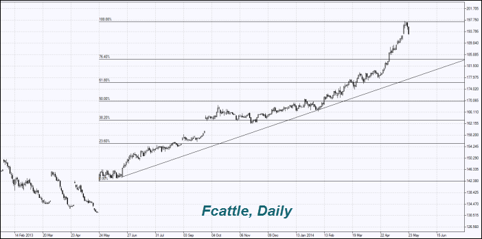 Fcattle, Daily