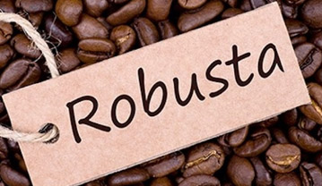 Robusta 