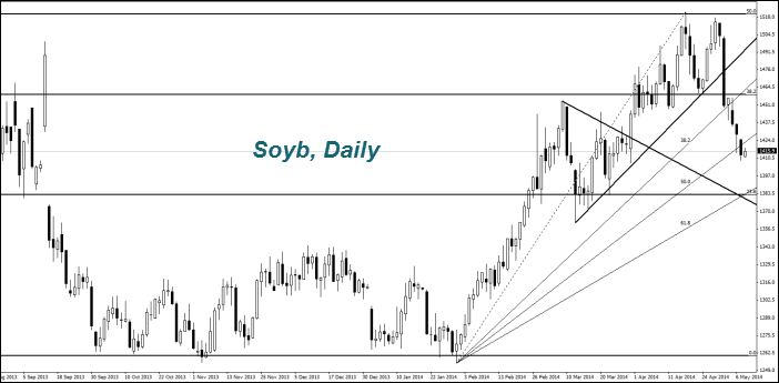 Soyb, Daily