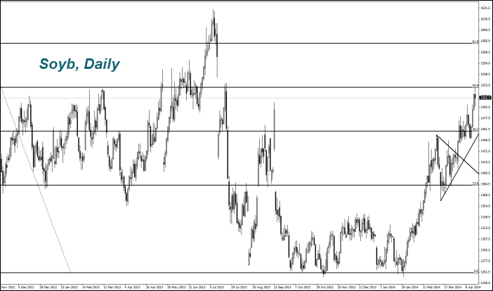 Soyb, Daily