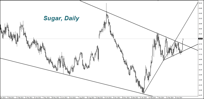 Sugar,Daily