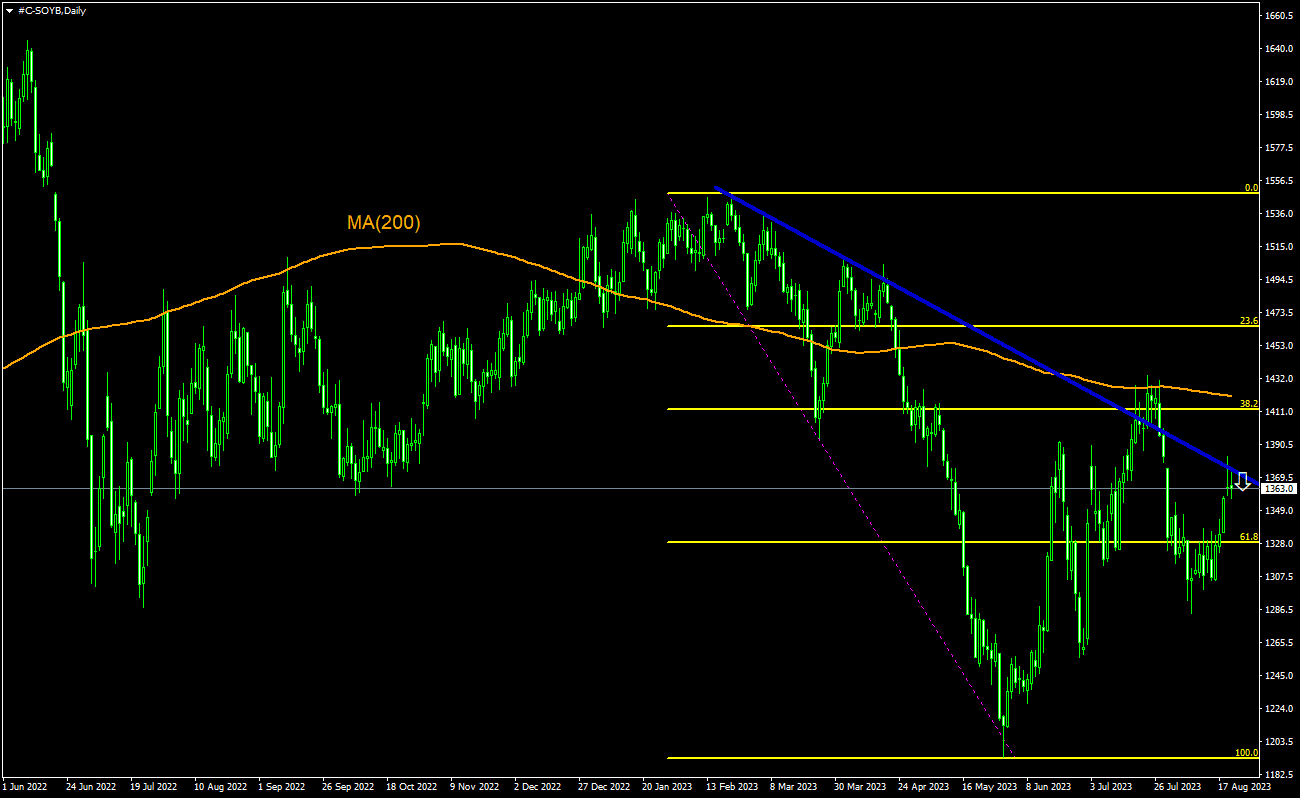 ایدۀ معاملاتی - دانۀ سویا (Soybeans), 22-08-2023