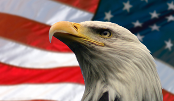 stop trading Eagle Day