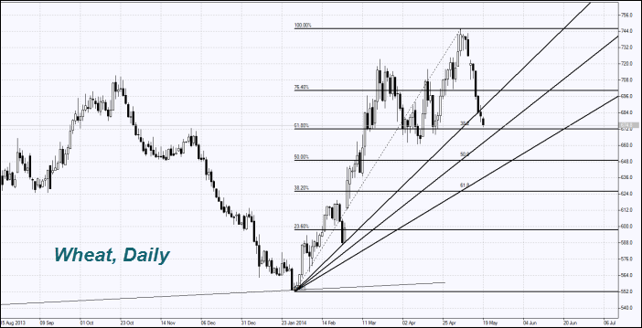 WHEAT, Daily