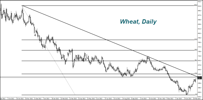 WHEAT, Daily